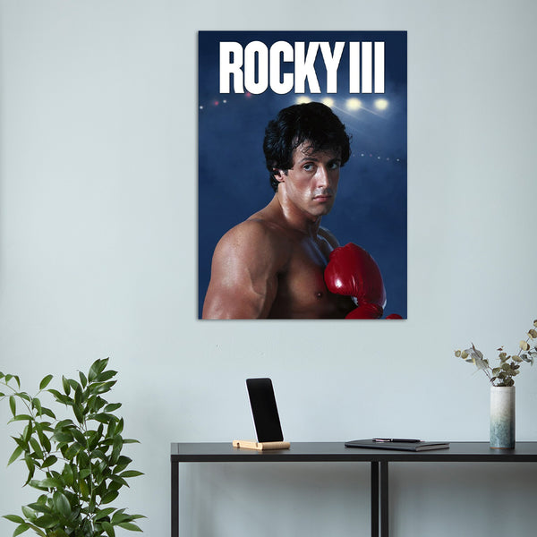 ROCKY METSTERR 100130